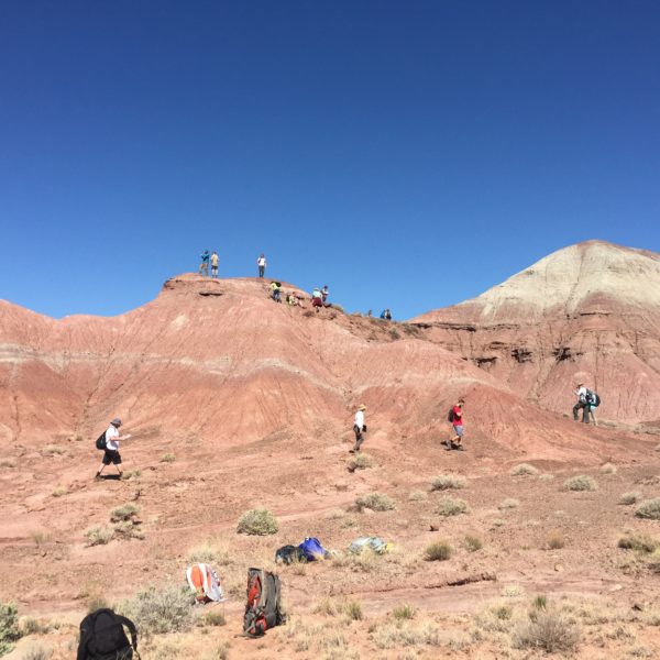 Mountain goat students traversing the Chinle formation, making their detailed unit descriptions before being given their first blank topographic map